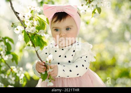 Hübsch sechs Monate alt Baby hält Kirschblüte Zweig in Feder Stockfoto