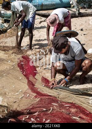 TANGALA, SRI LANKA - 15. März 2019: Asiatische Fischer sammeln kleine Fische aus dem Fangnetz. Vertikale Aufnahme. Stockfoto