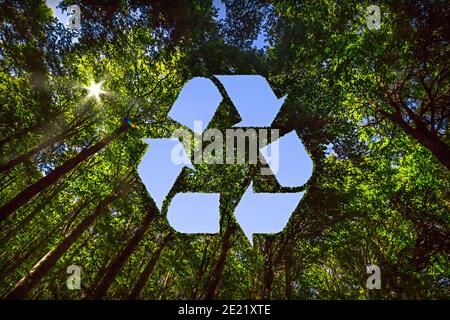 Das Vordach dieses Waldes hat ein Loch in der Form Eines Recycling-Zeichens Stockfoto