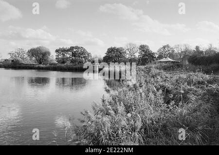 Reservoir und Betten im Woodberry Wetlands Nature Reserve, Woodberry Down, North London, Großbritannien Stockfoto