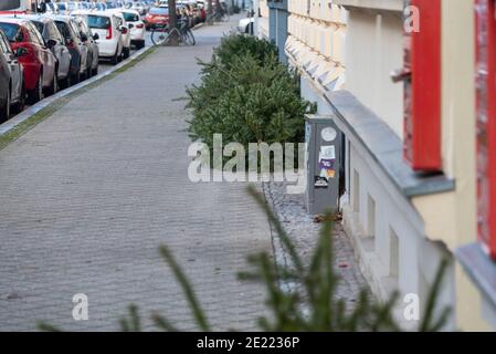 Magdeburg, Deutschland. Januar 2021. Weihnachtsbäume liegen auf dem Bürgersteig in einer Wohngegend. Quelle: Stephan Schulz/dpa-Zentralbild/ZB/dpa/Alamy Live News Stockfoto