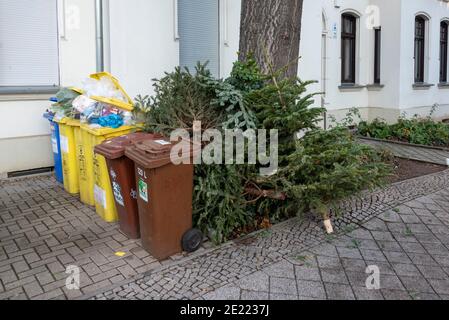 Magdeburg, Deutschland. Januar 2021. Weihnachtsbäume liegen in einem Wohnviertel an einer Müllsammelstelle. Quelle: Stephan Schulz/dpa-Zentralbild/ZB/dpa/Alamy Live News Stockfoto