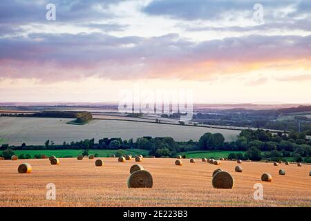 Strohballen auf einem Hügel in der Nähe des Dorfes Stapleford im Wylye Valley, Wiltshire. Stockfoto