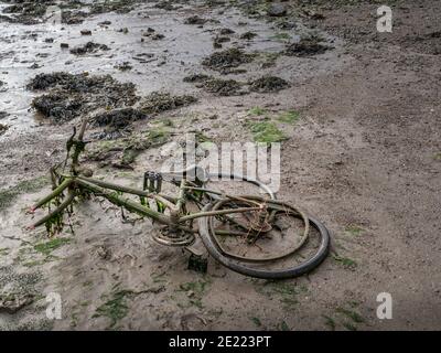 Altes zerstörtes Fahrrad, das auf Schlamm des Flußbettes verlassen liegt. Stockfoto