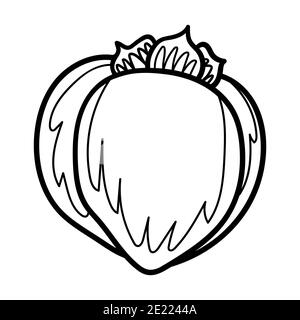 Persimmon. Hand gezeichnete Doodle Persimmon Frucht Illustration isoliert auf weißem Hintergrund. Symbol „Lebensmittel“, Stockfoto