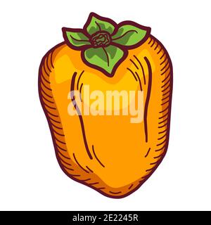 Persimmon. Hand gezeichnete Doodle Persimmon Frucht Illustration isoliert auf weißem Hintergrund. Symbol „Lebensmittel“, Stockfoto