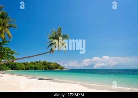 Tropische Strandlandschaft mit Palmen auf der Insel Bintan, Indonesien Stockfoto