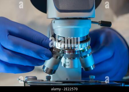 Hände des Wissenschaftlers, der Mikroskop im Labor justiert. Forschung und Mikrobiologie Konzept. Stockfoto