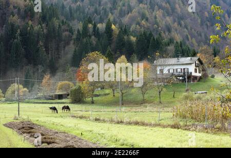 Herbstliche Berglandschaft in Pesariis, auf den Karnischen Alpen, Italien, mit einem weißen Haus, seinem Garten und einer Wiese mit zwei weidenden Pferden Stockfoto