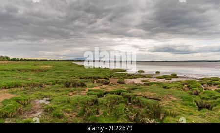 Die Solway Coast, mit Blick auf den Kanal der Fluss Esk in Bowness-on-Solway, Cumbria, England, Großbritannien Stockfoto