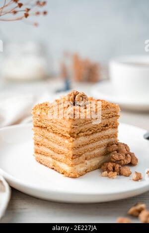 Kulinarischer Hintergrund, Honigkuchen mit Walnüssen auf weichem, hellem Hintergrund. Seitenansicht, Nahaufnahme. Stockfoto