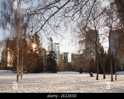 Calgary, Alberta, Kanada - 5. Januar 2013 Blick auf die Innenstadt von Calgary von einem verschneiten Prince's Island Park an einem Winternachmittag Stockfoto