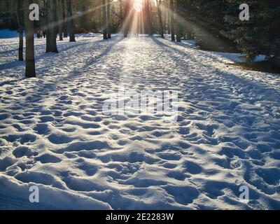 Calgary, Alberta, Kanada - 5. Januar 2013 Sonneneinstrahlung im verschneiten Prince's Island Park in Calgary Alberta an einem Winternachmittag Stockfoto