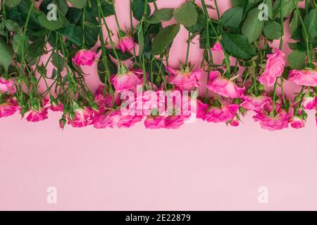 Valentinstag Bouquet. Blumenrahmen mit rosa Rosen Blumen auf rosa Hintergrund. Flach liegend, Draufsicht. Stockfoto