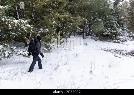 Frau in schwarz gekleidet Wandern in der Mitte eines schneebedeckten Wald Risiko Sport. Überwinterungsreise. Stockfoto