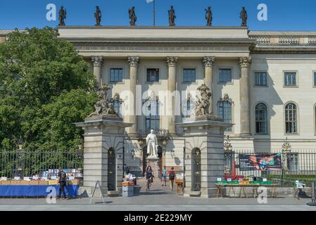 Hauptgebaeude, Humboldt-Universitaet, Unter den Linden, Mitte, Berlin, Deutschland Stockfoto