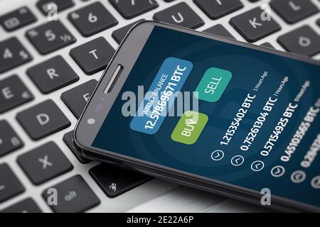 bitcoin Wallet Balance und Transfer-Informationen auf Smartphone-Bildschirm. Cryptocurrency Trading concept Stockfoto