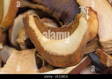 Getrocknete Steinpilze in einer Nahaufnahme Stockfoto