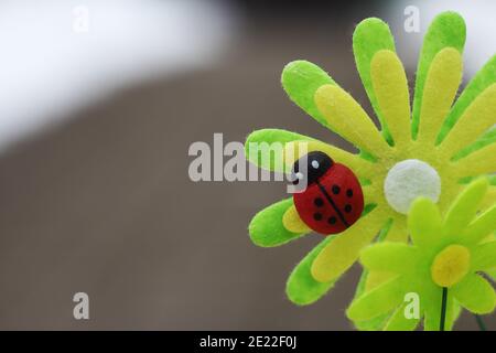 marienkäfer und Blume auf neutralem unscharfem Hintergrund, Babykarten-Design mit Kopierfläche für Grüße und Wünsche Stockfoto