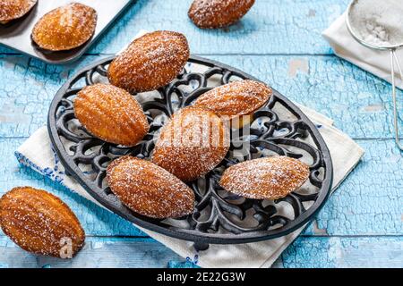 Traditionelle Madeleines Kuchen mit Puderzucker bestäubt Stockfoto