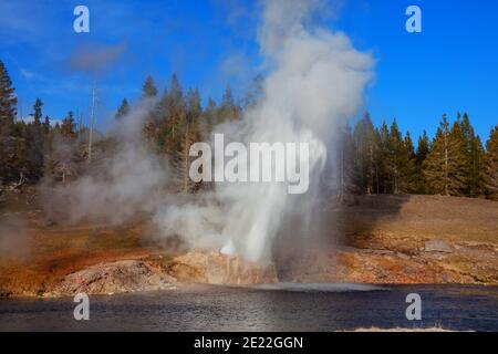 Ausbruch des Riverside Geyser am Firehole River im Yellowstone National Park, Wyoming, USA. Wunderschöne amerikanische Landschaften Stockfoto