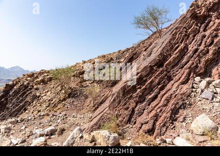 Rote Kalkstein- und Dolomitgesteinsformationen im Hajar-Gebirge auf der Arabischen Halbinsel, Vereinigte Arabische Emirate, Hatta. Stockfoto