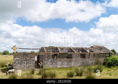 Verlassene verlassene Gebäude in einem Schaffeld, das ehemalige Richborough-Gefängnis des Ersten Weltkriegs, Haftanstalt mit blauem Himmel und weißen Wolken darüber. Stockfoto