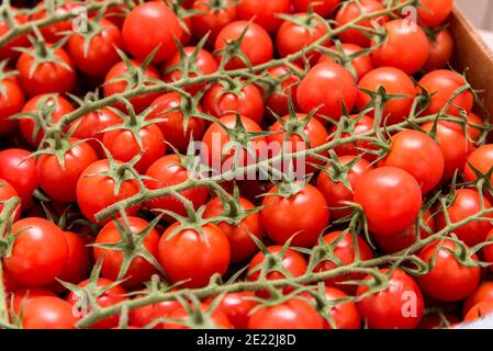 Kirschtomaten aus Pachino, Sizilien, Italien, auf der Theke des Gemüsehändler Stockfoto