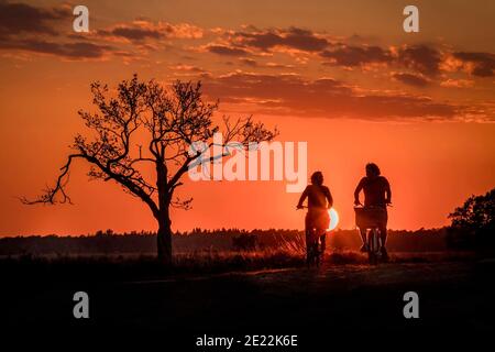 Junges Paar, das in der Abenddämmerung auf dem Land radelt, gegen Sonnenuntergang geschilderte, Nationalpark Dwingelderveld, Drenthe, Niederlande Stockfoto