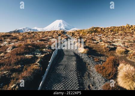 Wanderweg zum Vulkan Mt Ngauruhoe am frühen Nachmittag im Winter, Tongariro National Park, Neuseeland Stockfoto