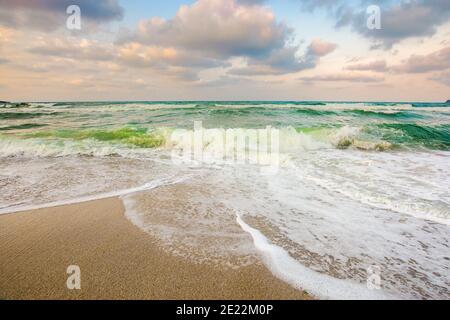 Flut auf einem bewölkten Sonnenuntergang. Grüne Wellen krachenden goldenen Sandstrand. Sturm Wetter nähert sich. Sommerurlaub Konzept Stockfoto