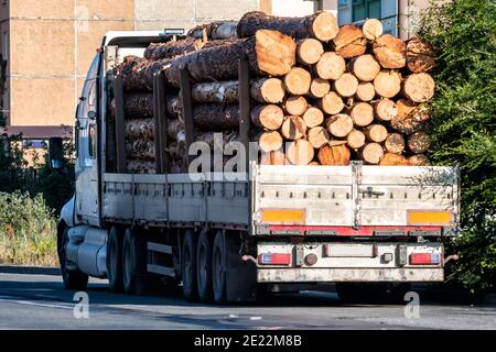 Großer LKW aus schwerem Holz auf einer Straße in der Stadt. Bäume beladen Sattelschlepper Stockfoto