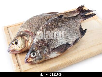 Gemeinsame Flussbrassen auf Schneidebrett isoliert auf weißem Hintergrund. Süßwasserfische Stockfoto