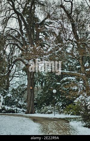 Pruhonice Park unter Schnee Stockfoto