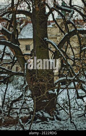 Pruhonice Park unter Schnee Stockfoto