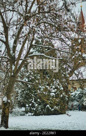 Pruhonice Park unter Schnee Stockfoto