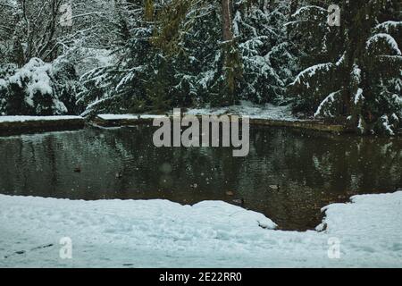 Pruhonice Park unter Schnee Stockfoto