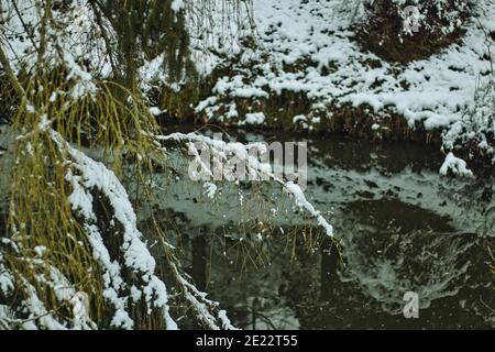 Pruhonice Park unter Schnee Stockfoto