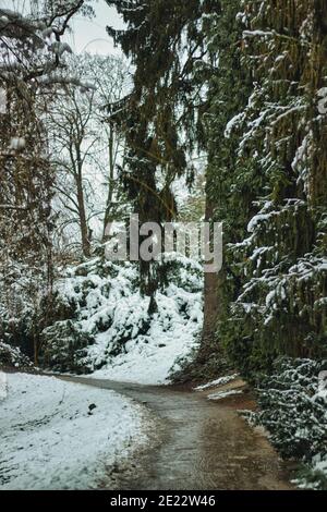 Pruhonice Park unter Schnee Stockfoto