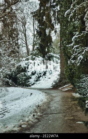 Pruhonice Park unter Schnee Stockfoto