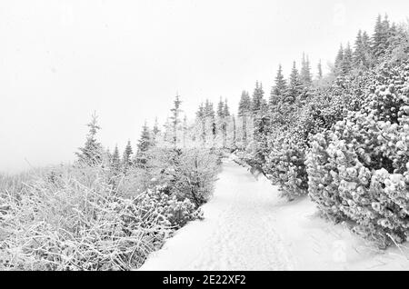 Schwarz-Weiß-Bild eines Bergweges bei starkem Schneefall. Stockfoto