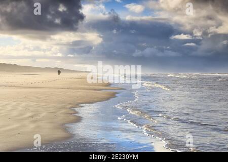 Paar zu Fuß auf sonnigen stürmischen Strand, Nordsee, Holland Stockfoto