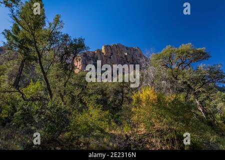 Dramatische Chiricahua Berge vom Cave Creek Canyon im Coronado National Forest, Arizona, USA Stockfoto