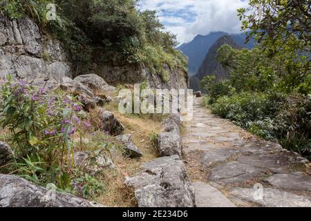 Wanderer auf dem Inka Trail in der Nähe der Ruinen von Machu Picchu, einem UNESCO-Weltkulturerbe Stockfoto