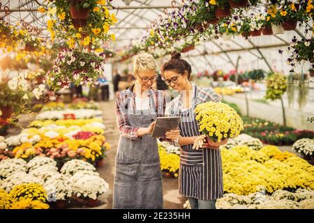 Zwei schöne Gewächshaus-Arbeiterinnen, die in Tablet schauen und lächeln. Stockfoto