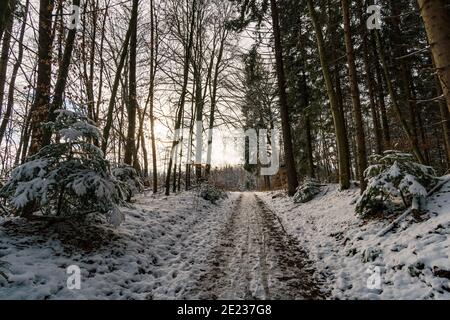 Wanderung durch die verschneite Schlucht bei Schmalegg bei Ravensburg in Oberschwaben Stockfoto