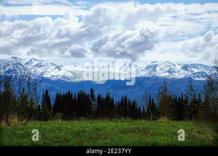 Grewingk Glacier bei Homer Alaska Stockfoto