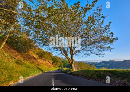 Bild von Bouley Bay Hill in der Sonne mit Bäumen und Gras. Neben dem Zugang zur Bouley Bay, wird der Hügel auch für eine Motorhügelkletterei genutzt Stockfoto