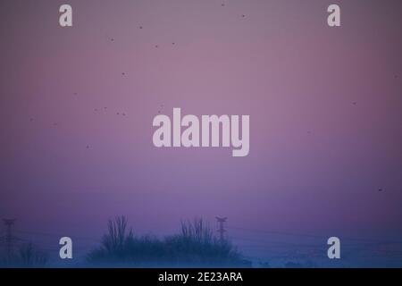 Madrid, Madrid, Spanien. Januar 2021. Sonnenaufgang auf Mostoles. Storm Filomena brachte mehr als 50 cm Schnee in die spanische Hauptstadt, der meiste seit Jahrzehnten. Kredit: Jack Abuin/ZUMA Wire/Alamy Live Nachrichten Stockfoto