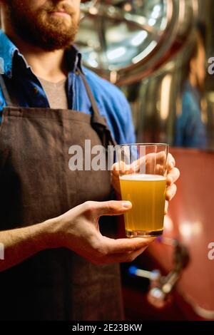 Hand des jungen männlichen Brauers in Schürze hält Glas Frisches Bier, während man vor der Kamera gegen die Brauerei steht Ausrüstung in der Werkstatt Stockfoto